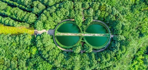 沱牌舍得文化旅游区