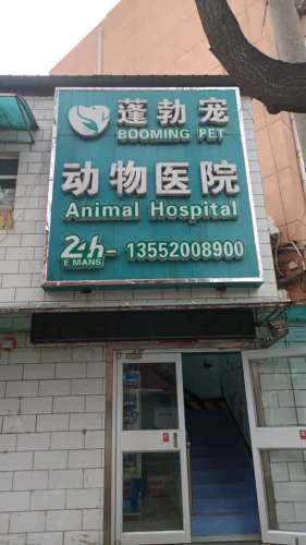 蓬勃宠动物医院三中店