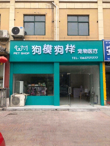 狗模狗样宠物医疗