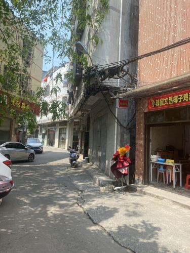 小辣椒文昌椰子鸡汤(小湘苑店)