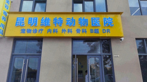 昆明维特动物医院