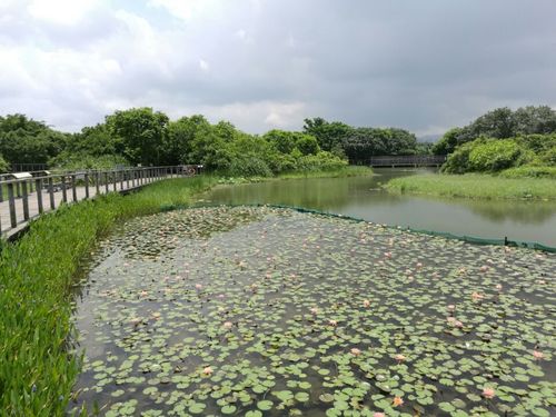 香港湿地公园