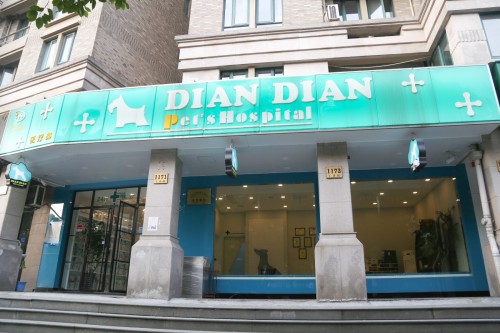 点点宠物医疗(丁香路店)