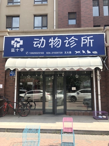 蓝十字动物诊所