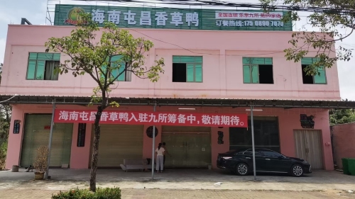 海南屯昌香草鸭(乐东九所第80家店)