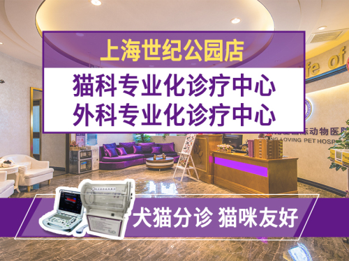 宠爱国际动物医院(24h上海世纪公园店)