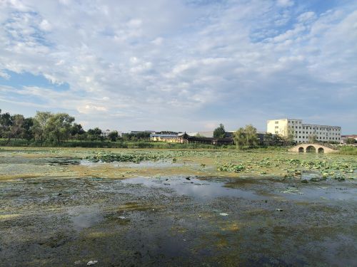 钱集荷花池生态景区