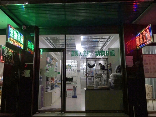 叮当宠物诊所