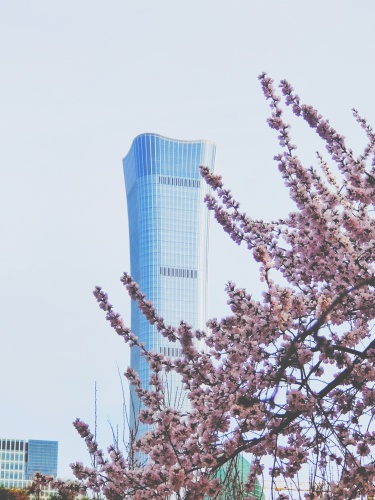 北京市朝阳区庆丰公园景区（高德地图）