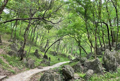 八公山孙家花园