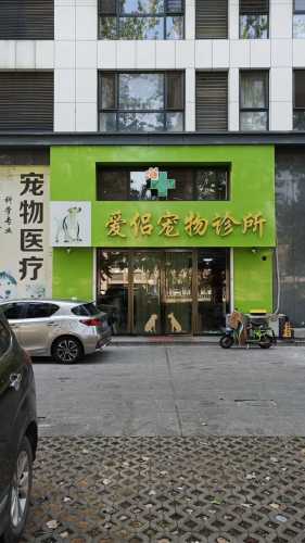 爱侣宠物诊所
