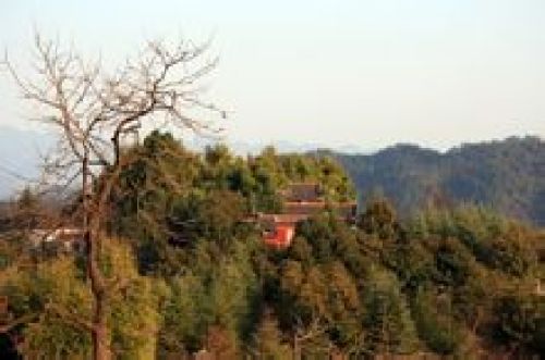 朝阳观[陕西省商洛市镇安县朝阳观]