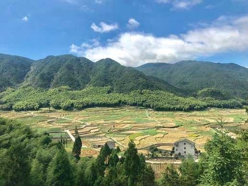 泽雅七瀑涧景区