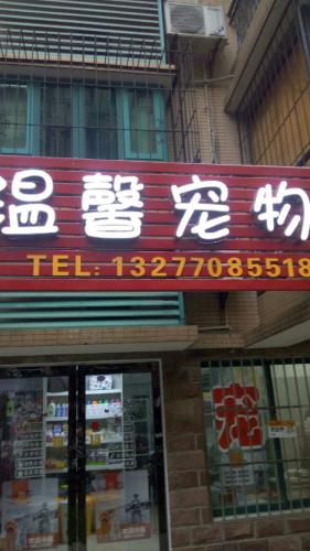 温馨宠物