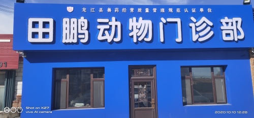 龙江县田鹏动物门诊部