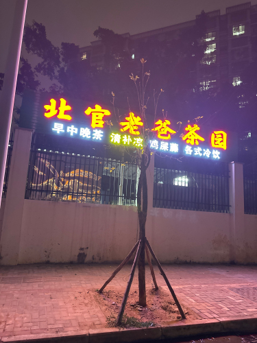 北官老爸茶