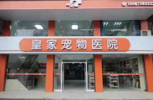 皇家宠物医院(敏州西路总店)