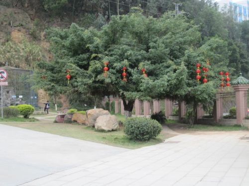 梅岗公园