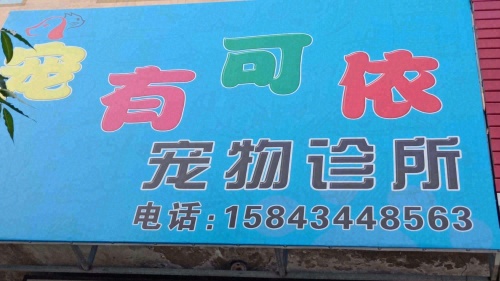 宠有可依宠物诊所