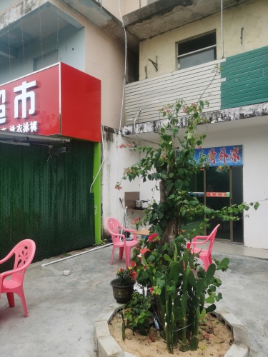 椰果乐清补凉