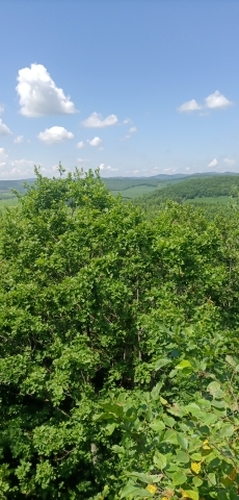 御龙山景区