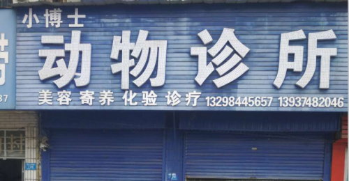 小博士宠物医院