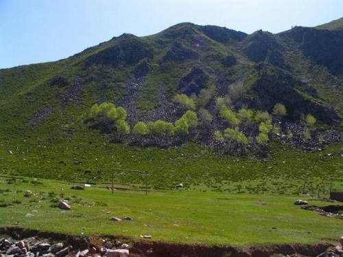 小东沟森林公园