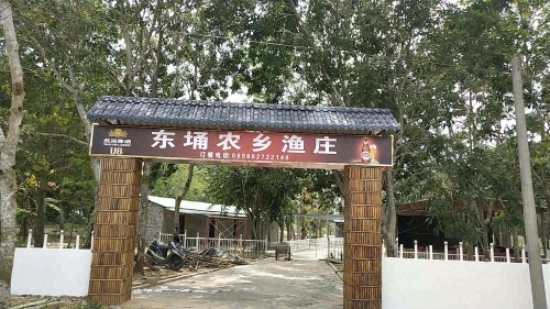 东埇农村渔庄