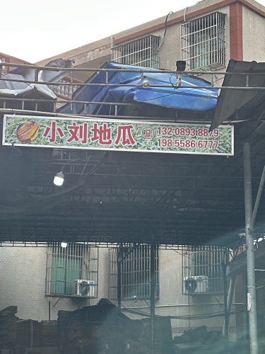 小刘地瓜