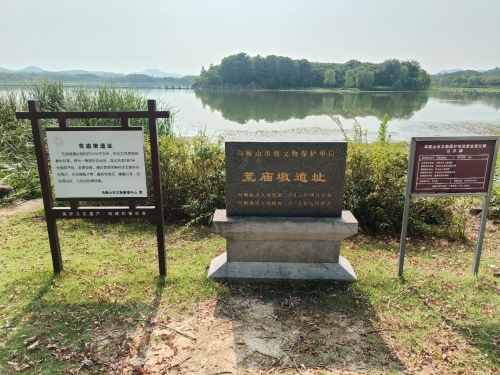 荒庙墩遗址