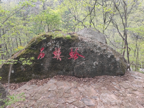 蛤蟆石