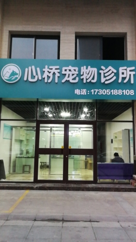 心桥宠物诊所