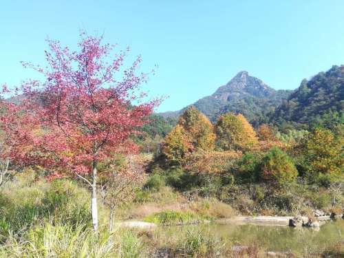 黄山翠微寺