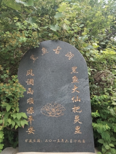 黑鱼古洞
