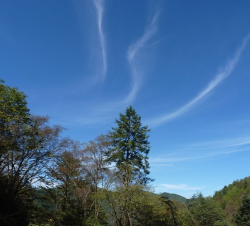 房县神农峡景区
