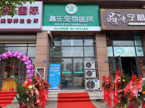 嘉乐宠物医院