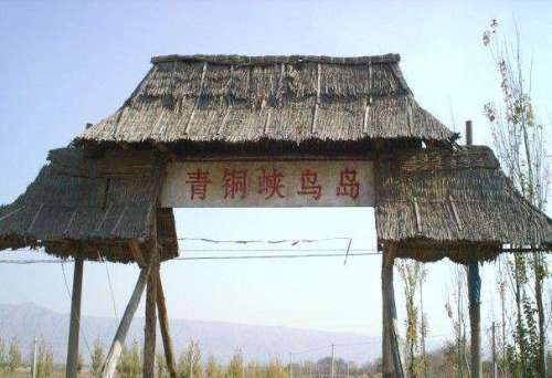青铜峡鸟岛