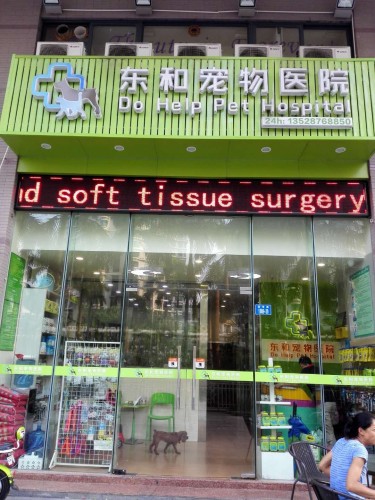 东和宠物医院
