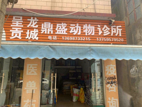 呈贡龙城鼎盛动物诊所