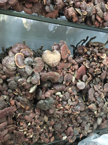 李梅灵芝特产(华佳商贸城店)