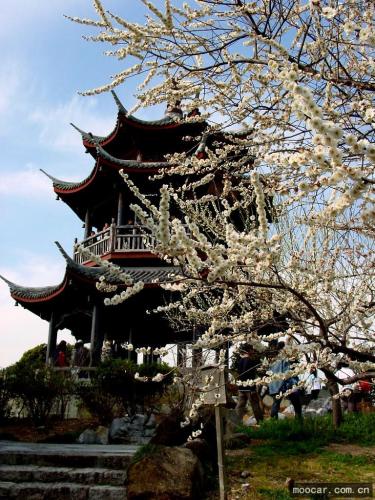 梅岗公园