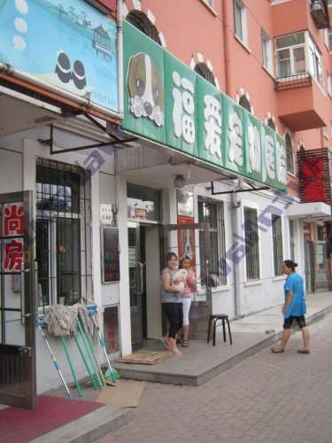 福爱宠物医院(道外店)