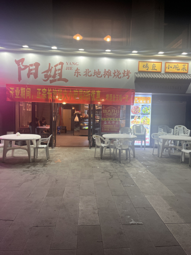 阳姐东北地摊烧烤