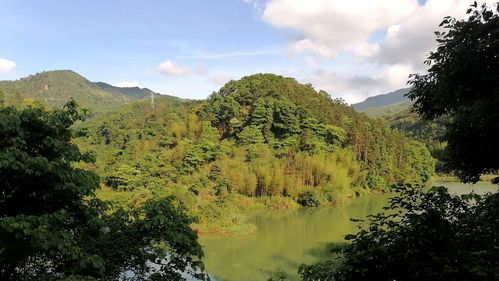 如意湖湿地公园