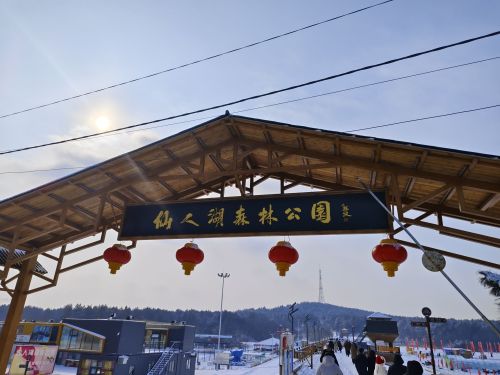 仙人湖森林公园
