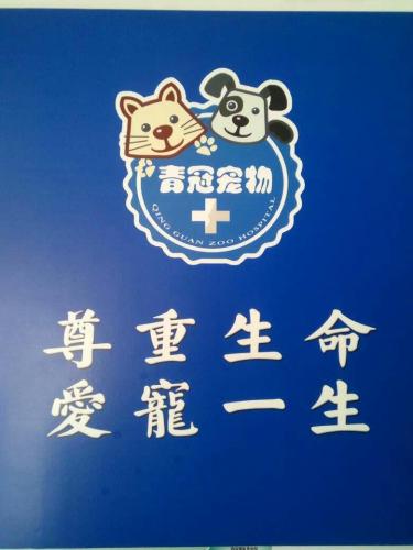 青冠动物门诊