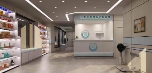 中农国际动物医院