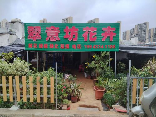 老城翠意坊花卉店
