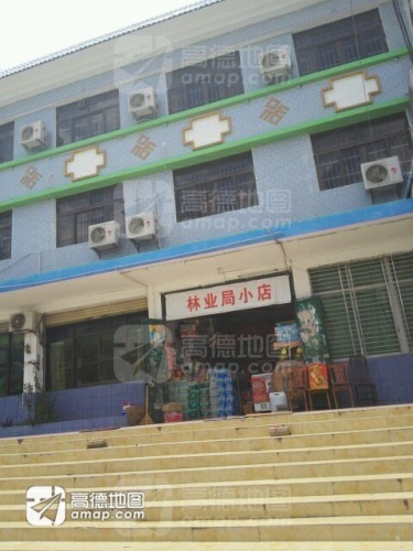 林业局小店