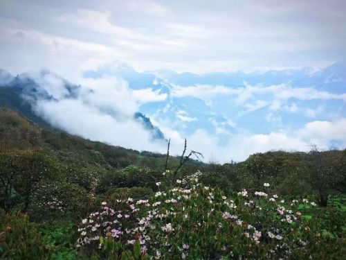 茱萸峰索道